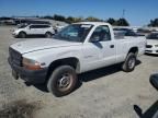 1999 Dodge Dakota