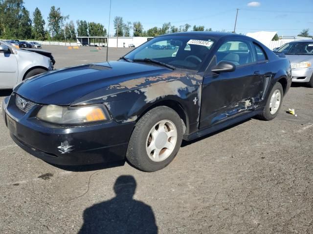 2000 Ford Mustang