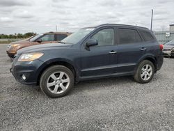 Salvage cars for sale at Ottawa, ON auction: 2010 Hyundai Santa FE SE