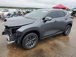 Salvage cars for sale at Grand Prairie, TX auction: 2025 Lexus NX 250 Premium