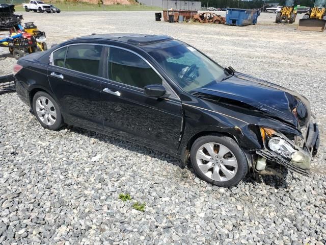 2010 Honda Accord EXL