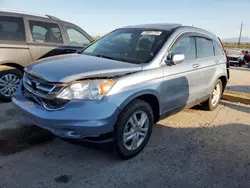 Salvage cars for sale at Tucson, AZ auction: 2010 Honda CR-V EXL