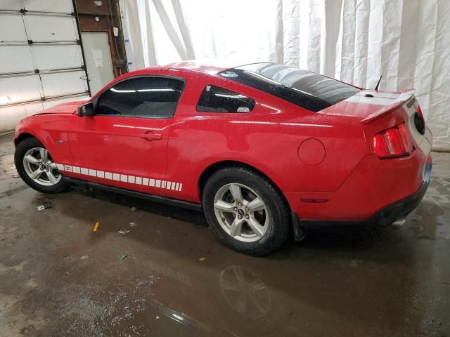 2010 Ford Mustang GT