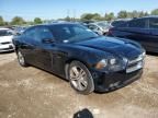 2013 Dodge Charger R/T