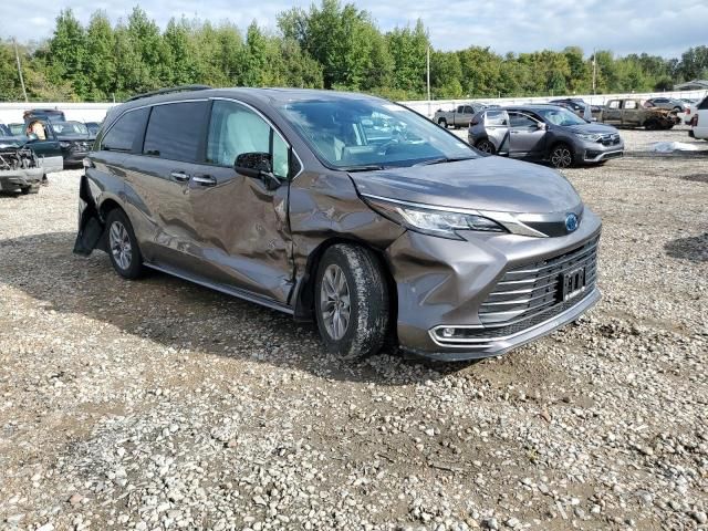 2023 Toyota Sienna XLE