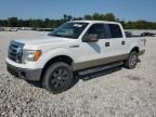 2009 Ford F150 Supercrew