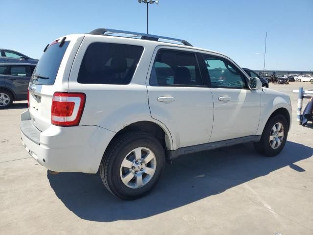 2011 Ford Escape Limited