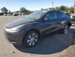 Salvage cars for sale at auction: 2024 Tesla Model Y