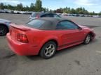 2004 Ford Mustang