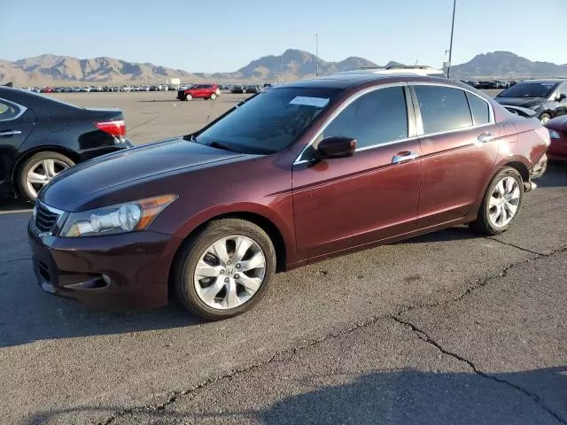 2010 Honda Accord EXL