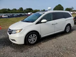 Flood-damaged cars for sale at auction: 2016 Honda Odyssey EXL