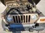 1999 Jeep Wrangler / TJ Sport