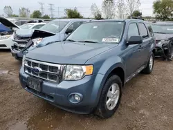 Salvage cars for sale at Elgin, IL auction: 2010 Ford Escape XLT