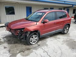 Salvage cars for sale at Fort Pierce, FL auction: 2016 Volkswagen Tiguan S