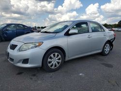 Toyota salvage cars for sale: 2010 Toyota Corolla Base