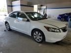 2010 Honda Accord EX