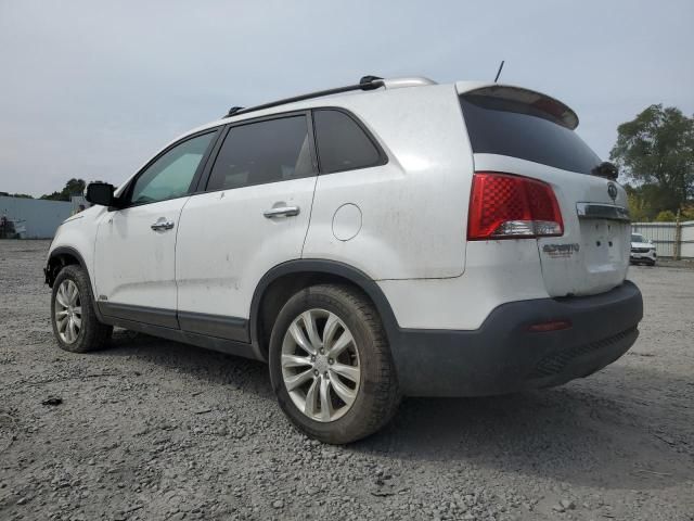 2011 KIA Sorento EX