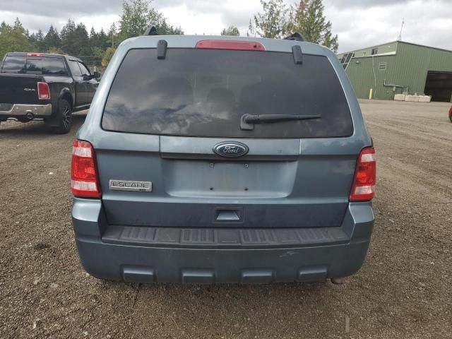 2010 Ford Escape XLT