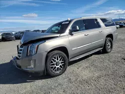 Salvage cars for sale at Helena, MT auction: 2019 Cadillac Escalade ESV Premium Luxury