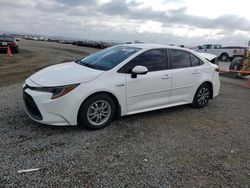 Salvage cars for sale at San Diego, CA auction: 2020 Toyota Corolla LE