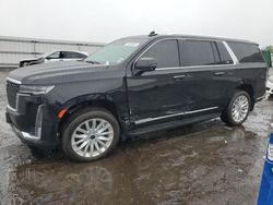 Salvage cars for sale at Fredericksburg, VA auction: 2023 Cadillac Escalade ESV Luxury