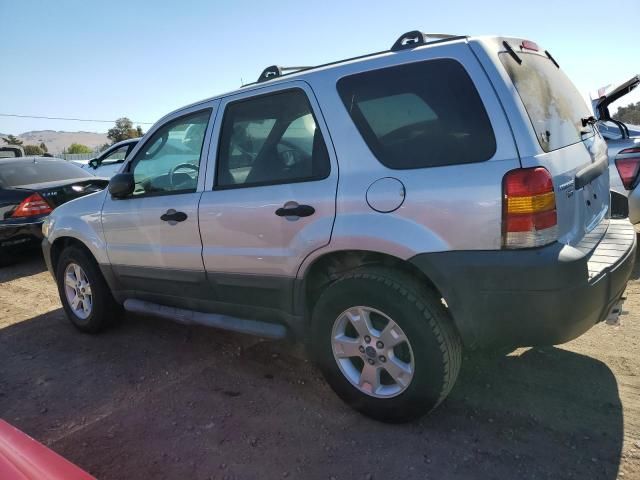 2006 Ford Escape XLT