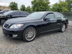 2012 Lexus LS 460