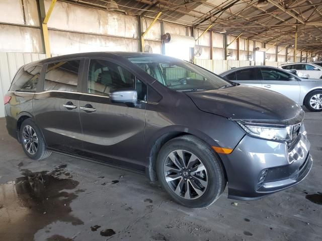 2022 Honda Odyssey EXL