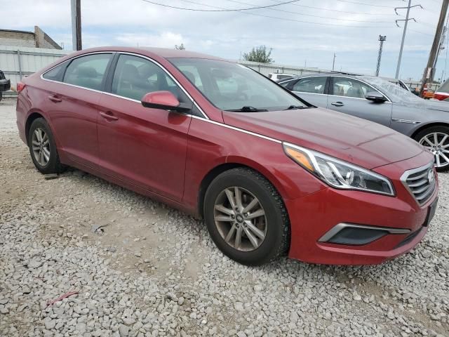 2016 Hyundai Sonata SE