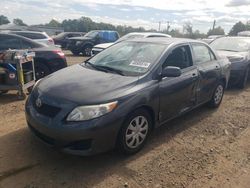 Toyota salvage cars for sale: 2010 Toyota Corolla Base