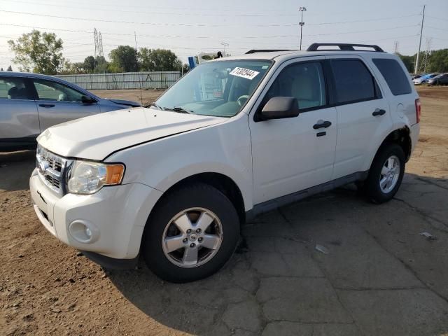 2011 Ford Escape XLT