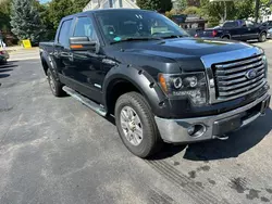 Salvage trucks for sale at North Billerica, MA auction: 2011 Ford F150 Supercrew