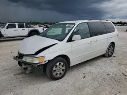 2002 Honda Odyssey EXL en venta en Arcadia, FL