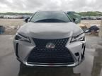 2019 Lexus UX 200