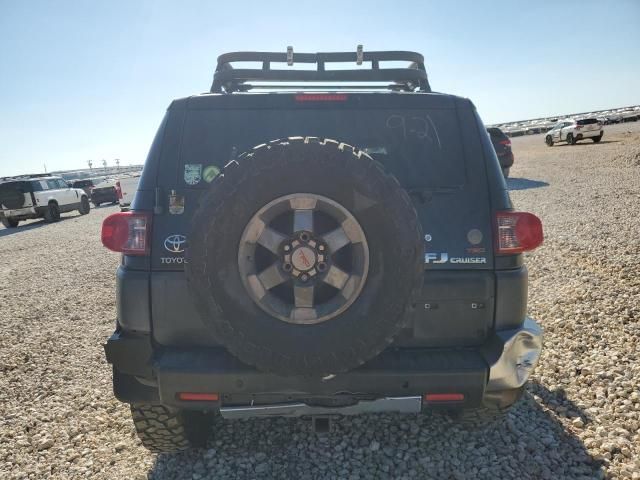 2007 Toyota FJ Cruiser