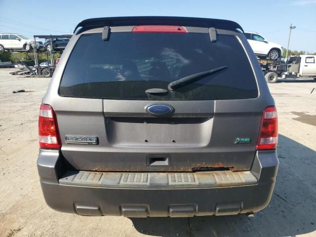 2011 Ford Escape XLT