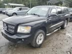 2011 Dodge Dakota SLT