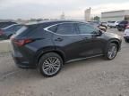 2024 Lexus NX 350 Luxury