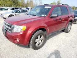 Ford salvage cars for sale: 2012 Ford Escape XLT