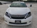 2010 Lexus HS 250H