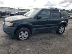 2003 Ford Escape XLT en venta en Fredericksburg, VA