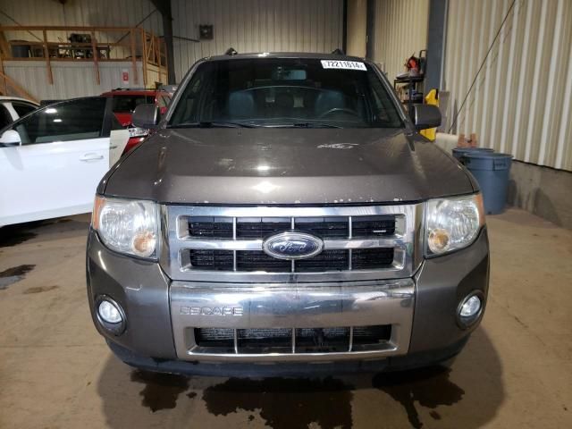 2010 Ford Escape Limited