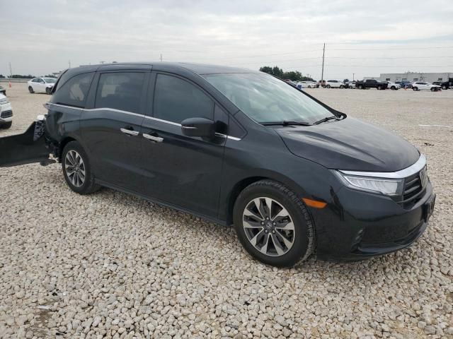 2023 Honda Odyssey EXL