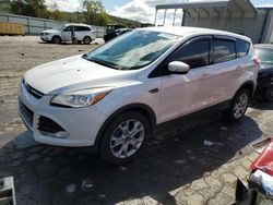 Salvage cars for sale at auction: 2013 Ford Escape SEL