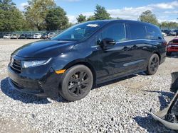 Honda Odyssey sp salvage cars for sale: 2023 Honda Odyssey SPORT-L