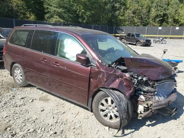 2009 Honda Odyssey EXL