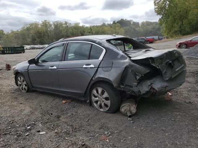 2008 Honda Accord EXL