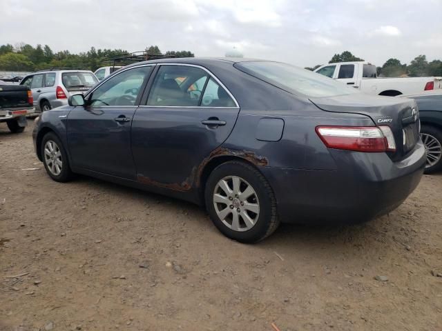 2007 Toyota Camry Hybrid