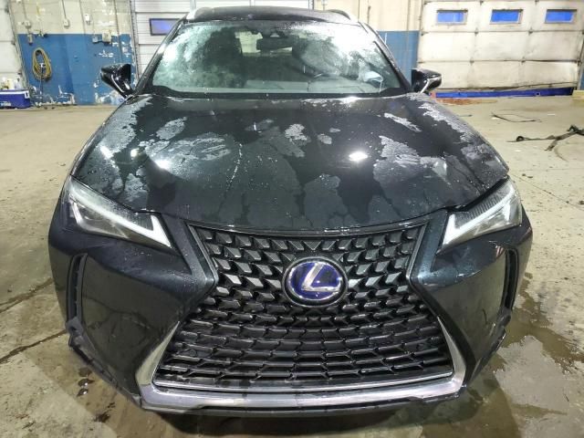 2021 Lexus UX 250H