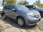 2020 Honda Pilot EXL